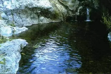 Finca w Estepona