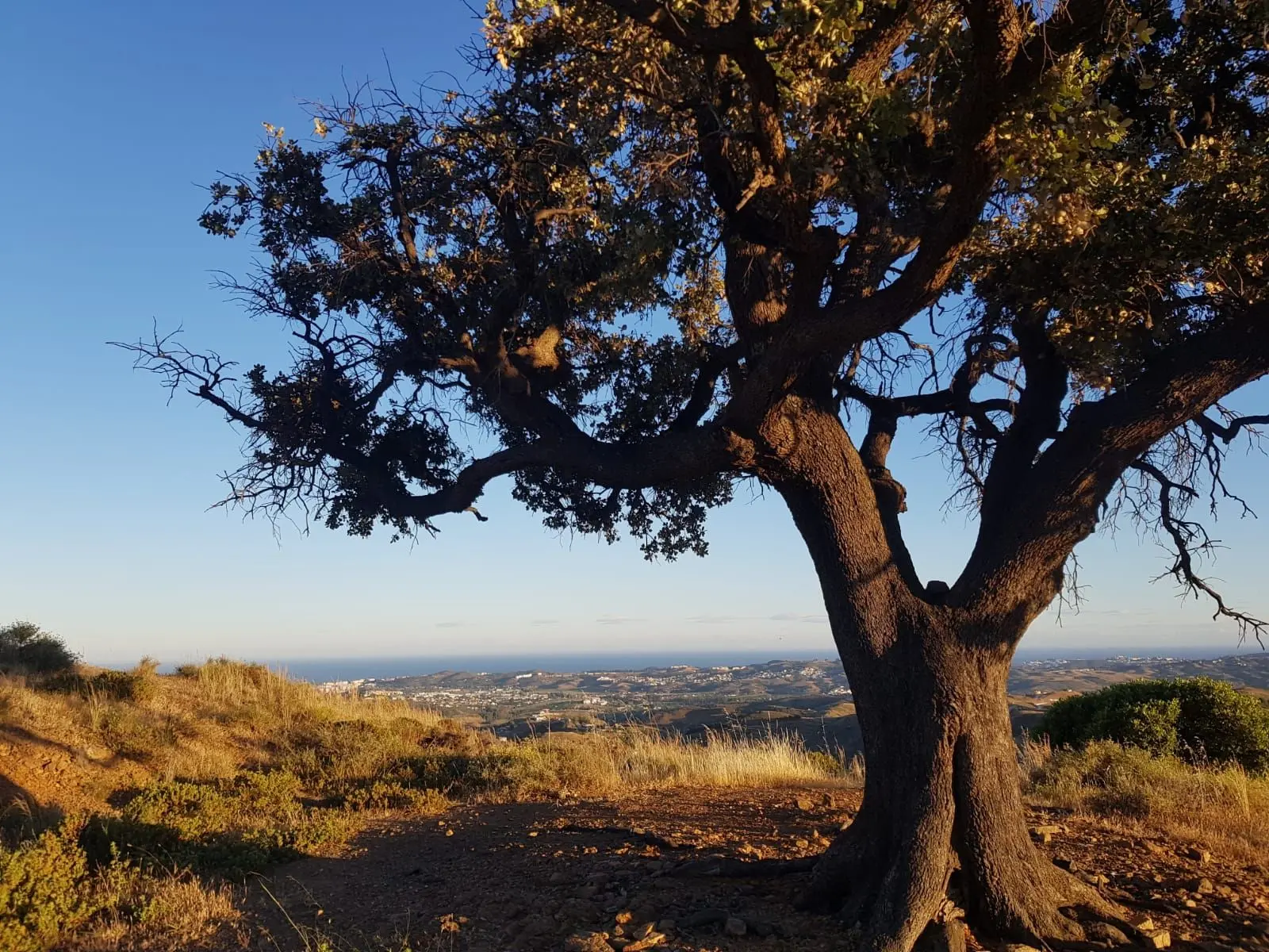 Terreno rural en Valtocado, Mijas