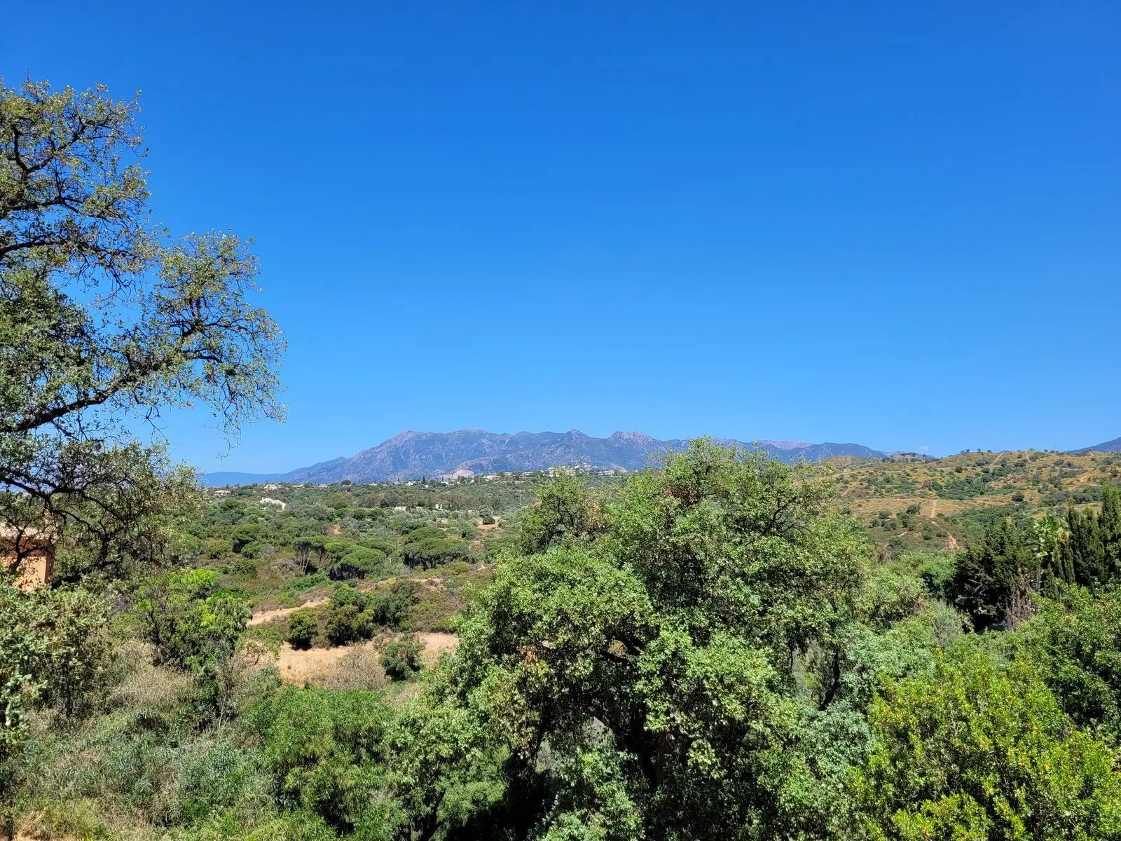 Działka w Elviria, Marbella