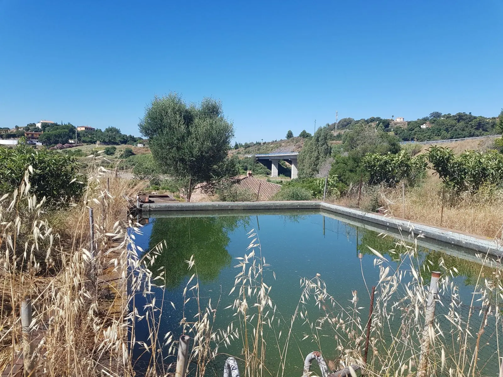 Finca w Estepona