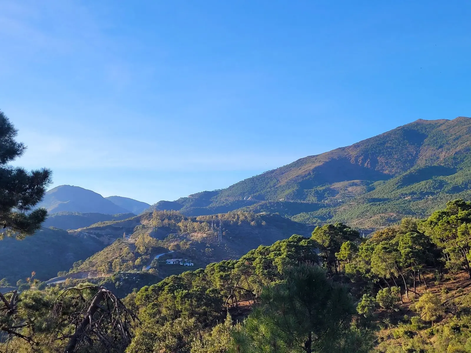 Terreno rural en La Zagaleta, Benahavís