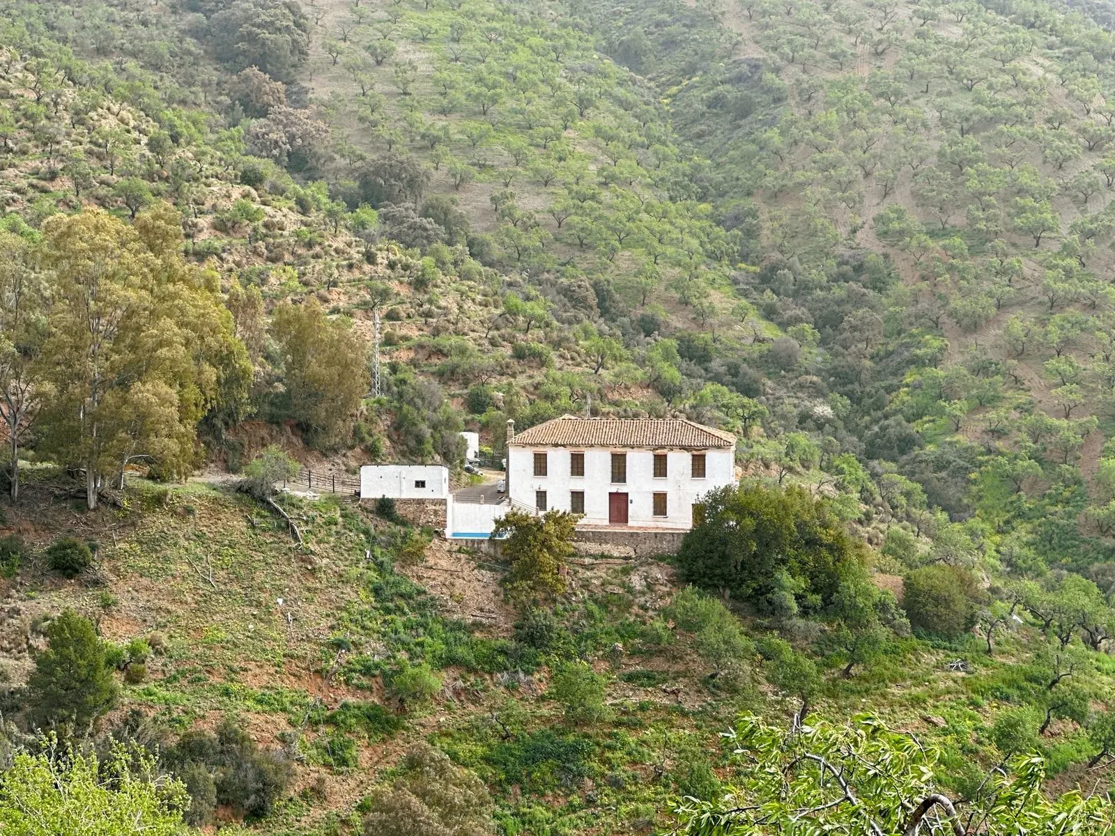 Finca en Pinares de San Antón, Málaga