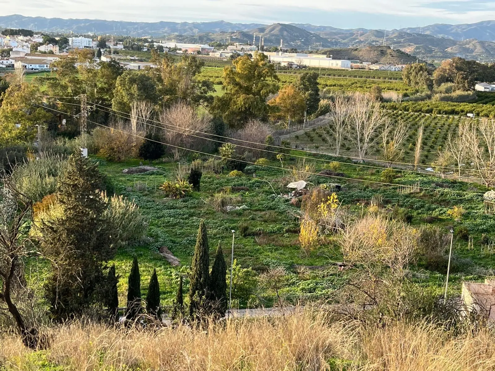 Terrain à Campanillas, Málaga
