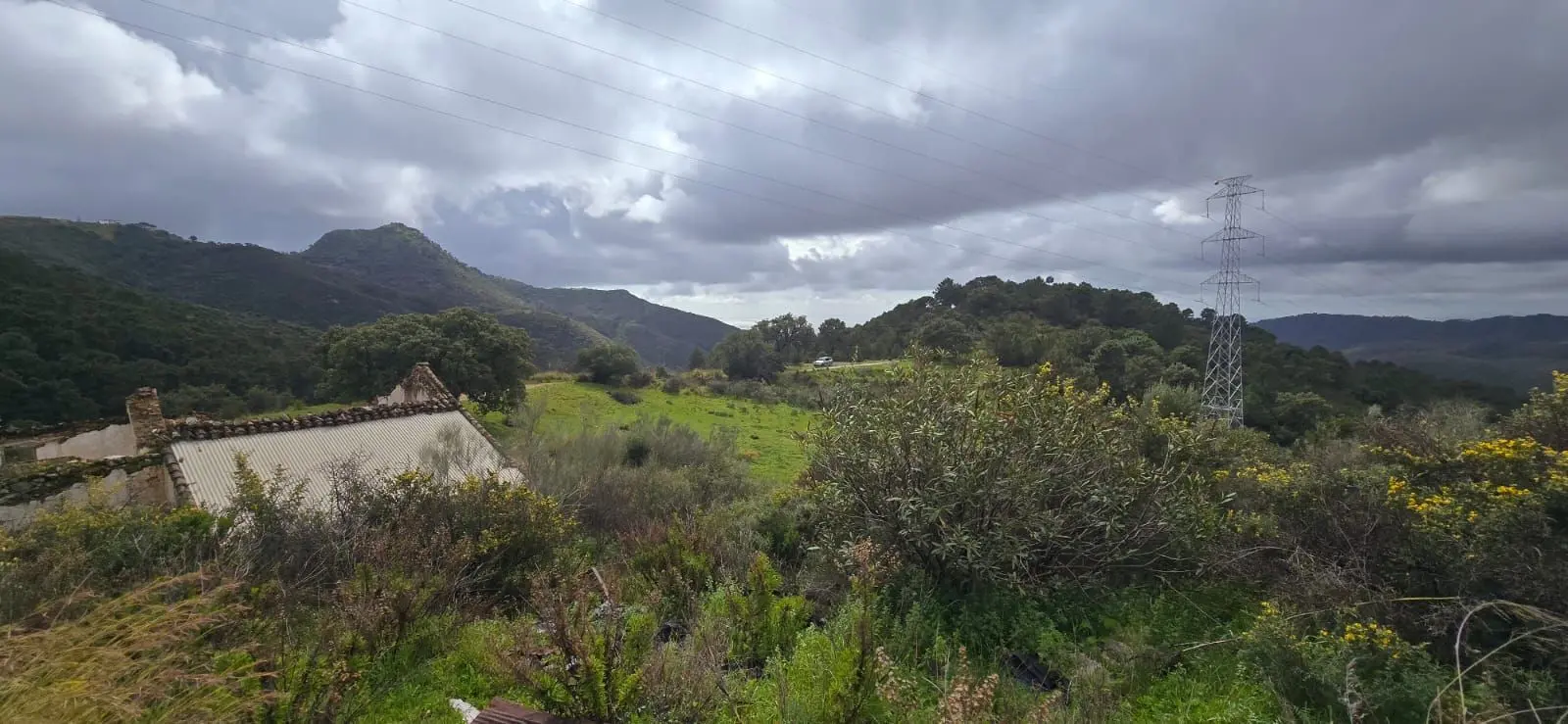Terreno rural en Benahavís
