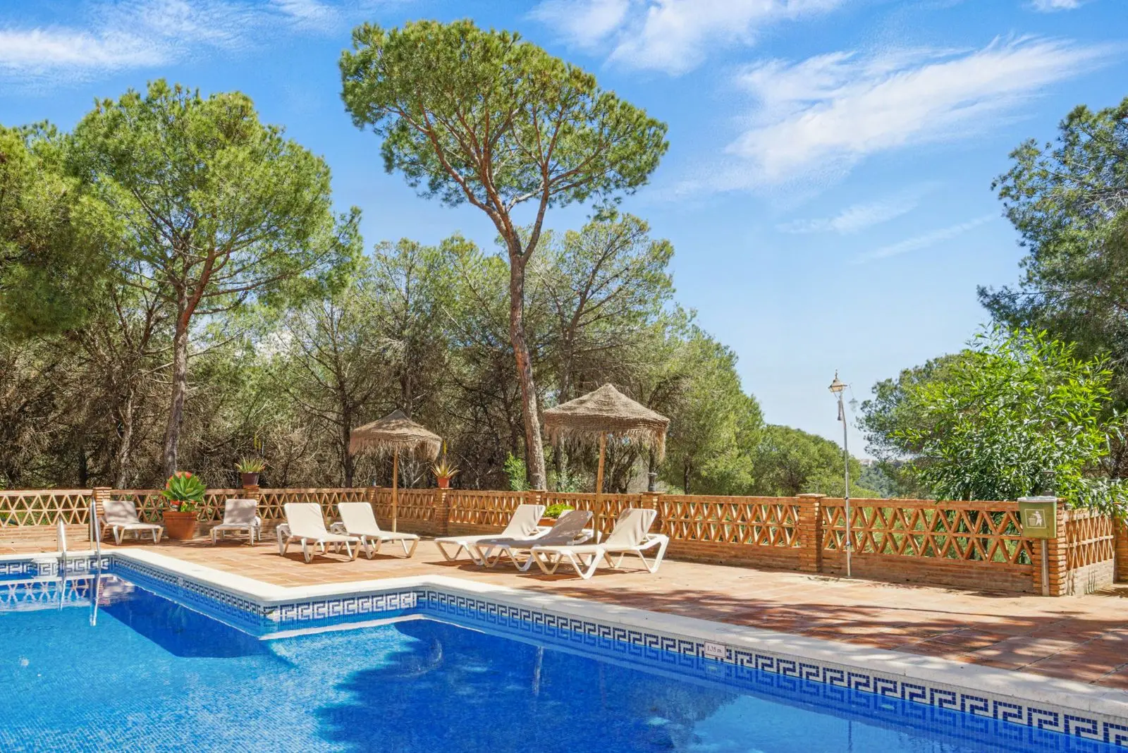 Penthouse à Nueva Andalucía, Marbella