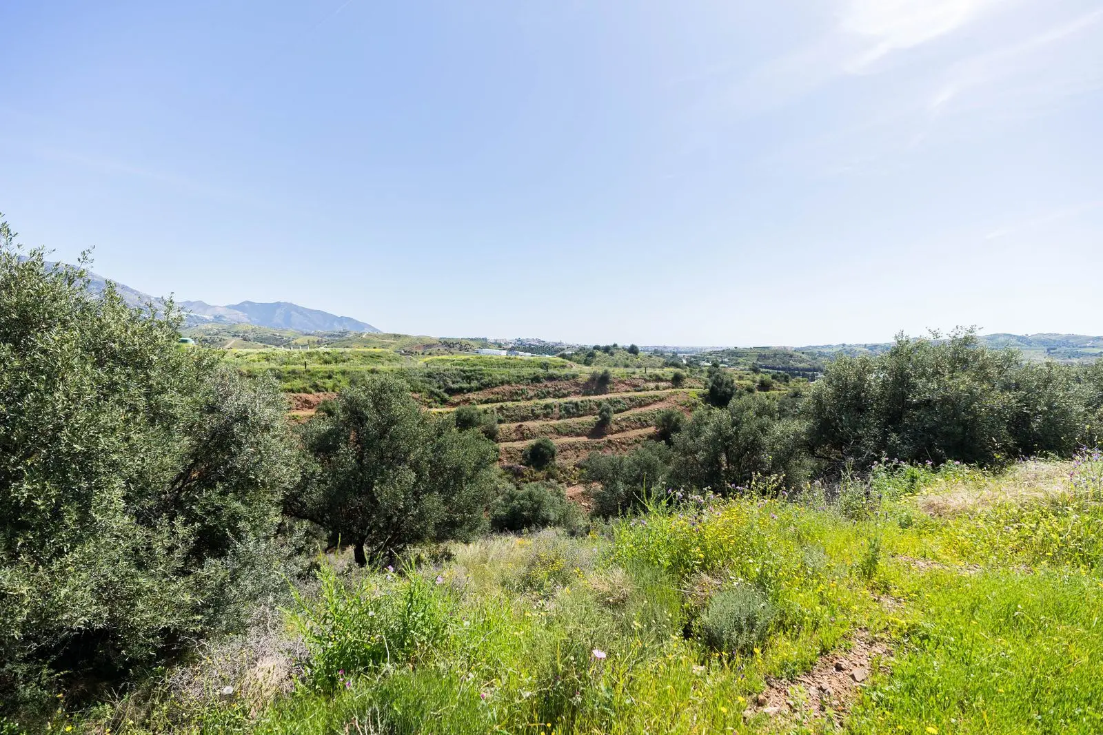 Terreno rural en Mijas