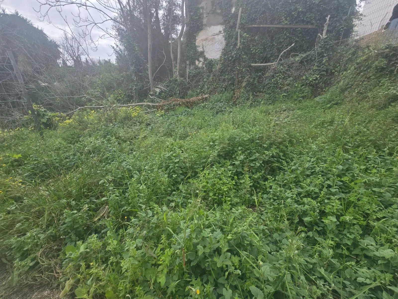 Terreno urbano en Churriana, Málaga