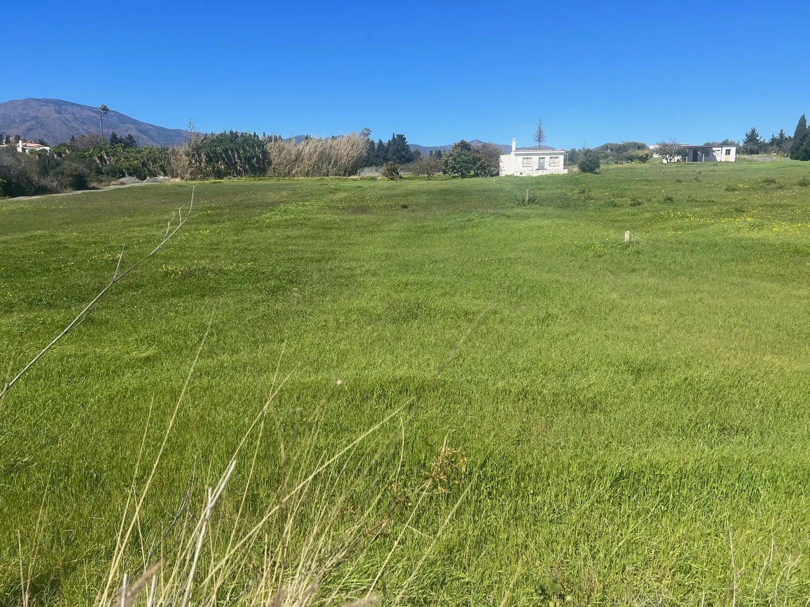 Terreno en Estepona