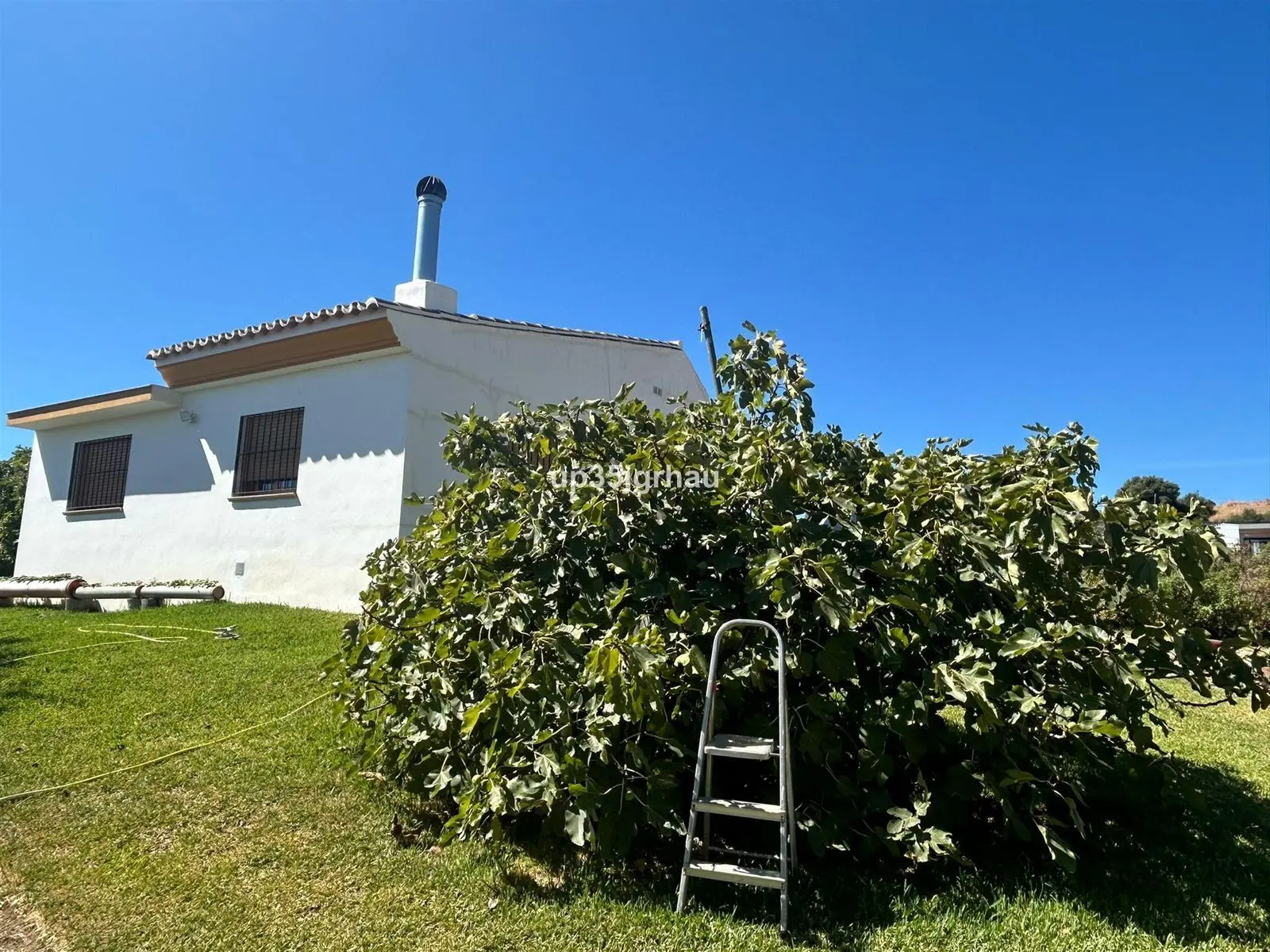 Finca w Estepona