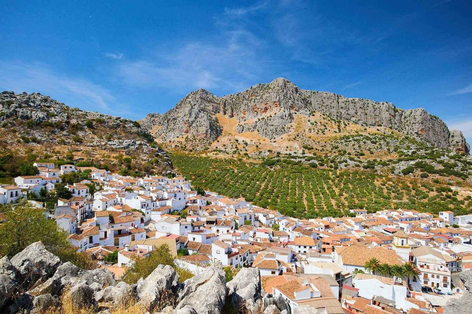 Terreno urbano en Ronda