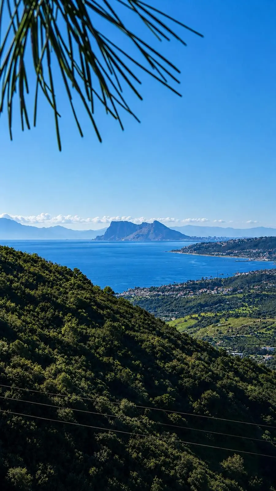 Działka w Estepona