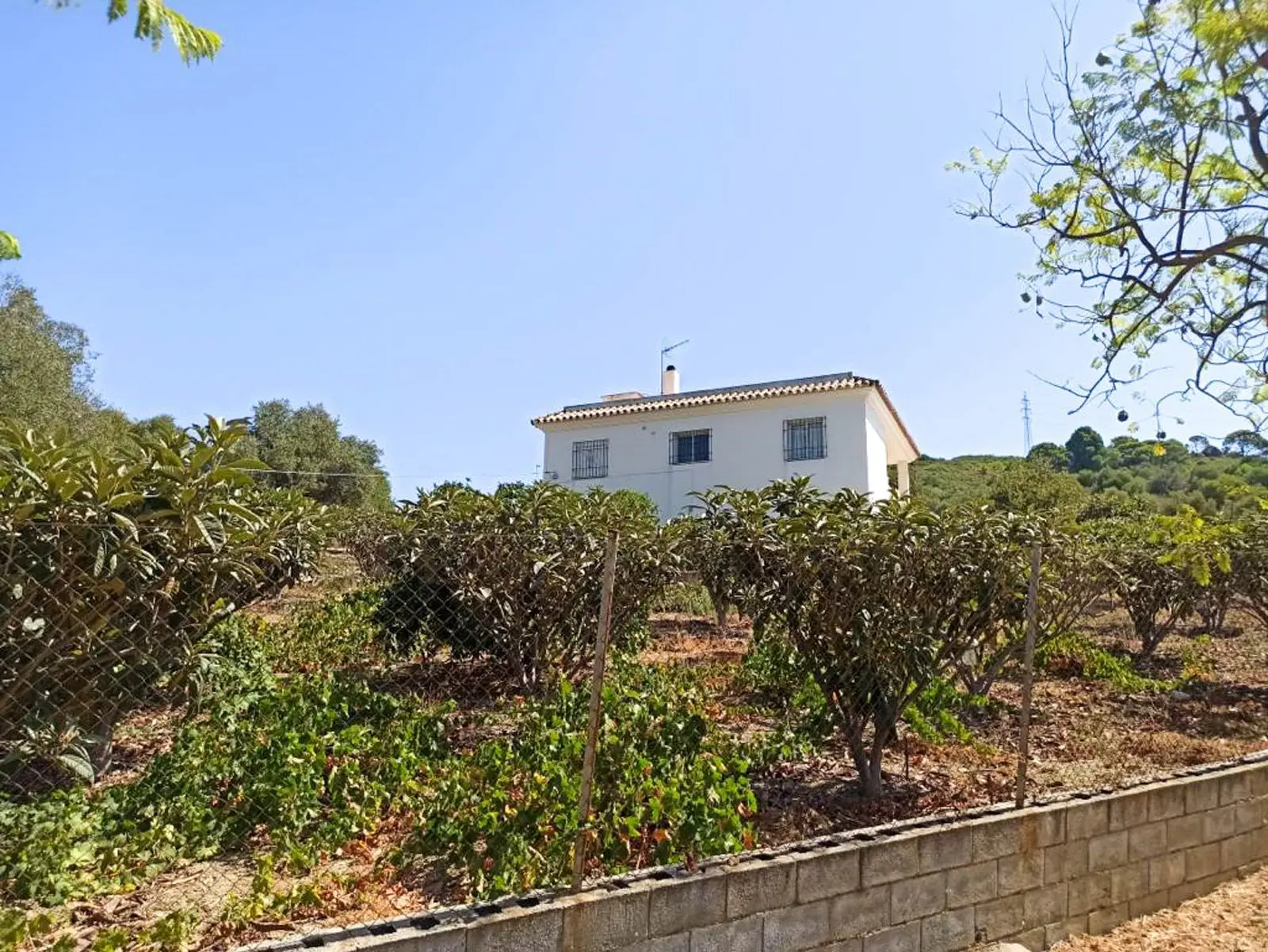 Finca w Estepona