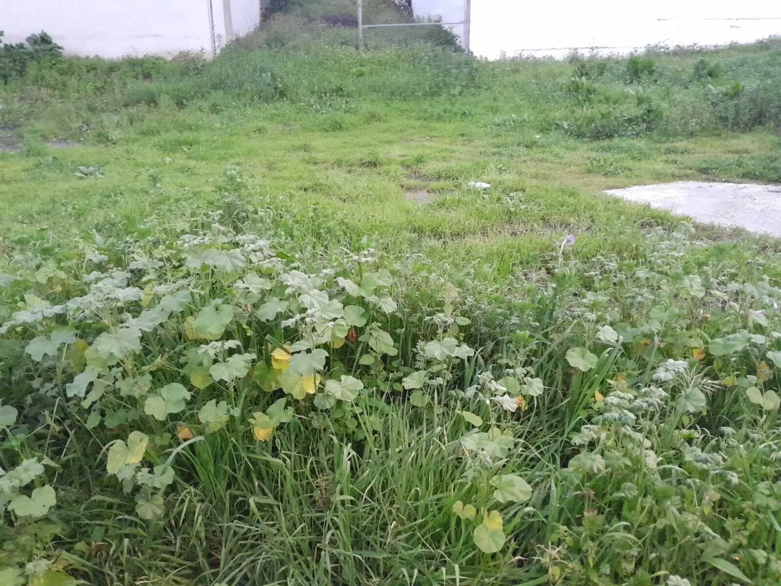 Terreno urbano en Casares