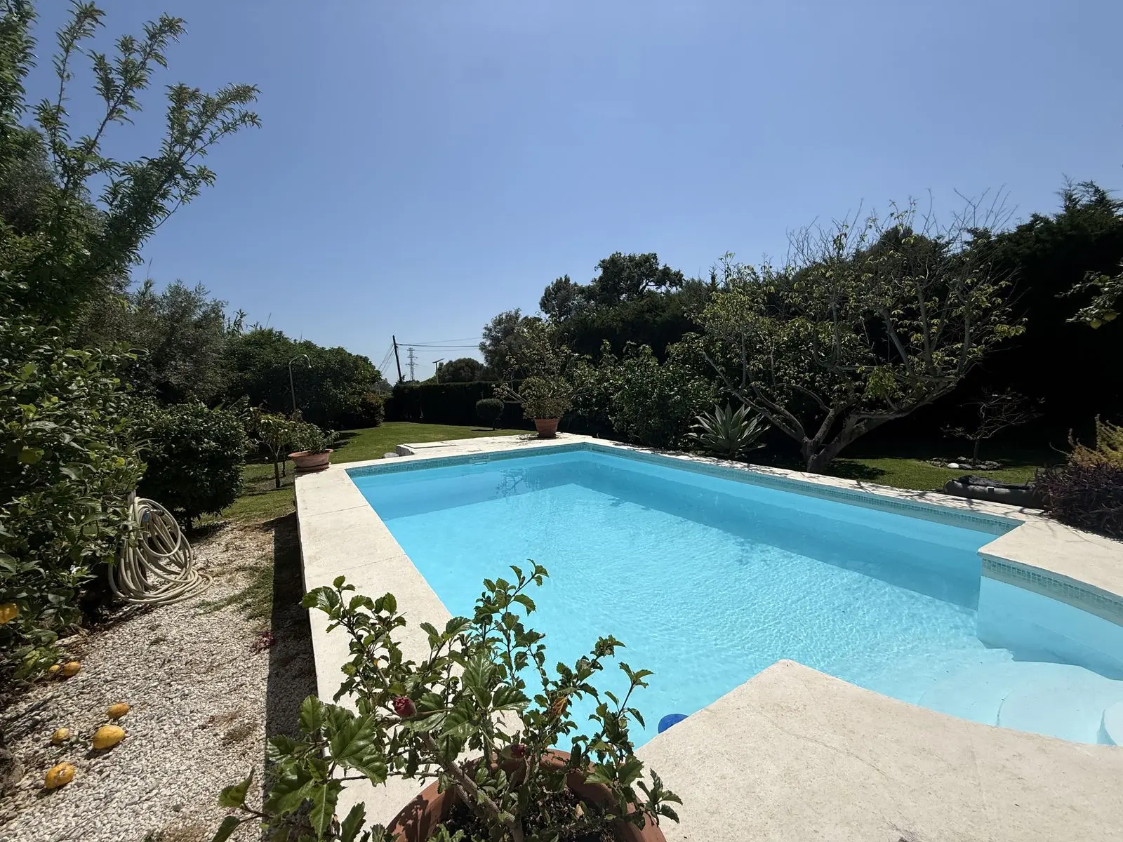 Finca w Estepona