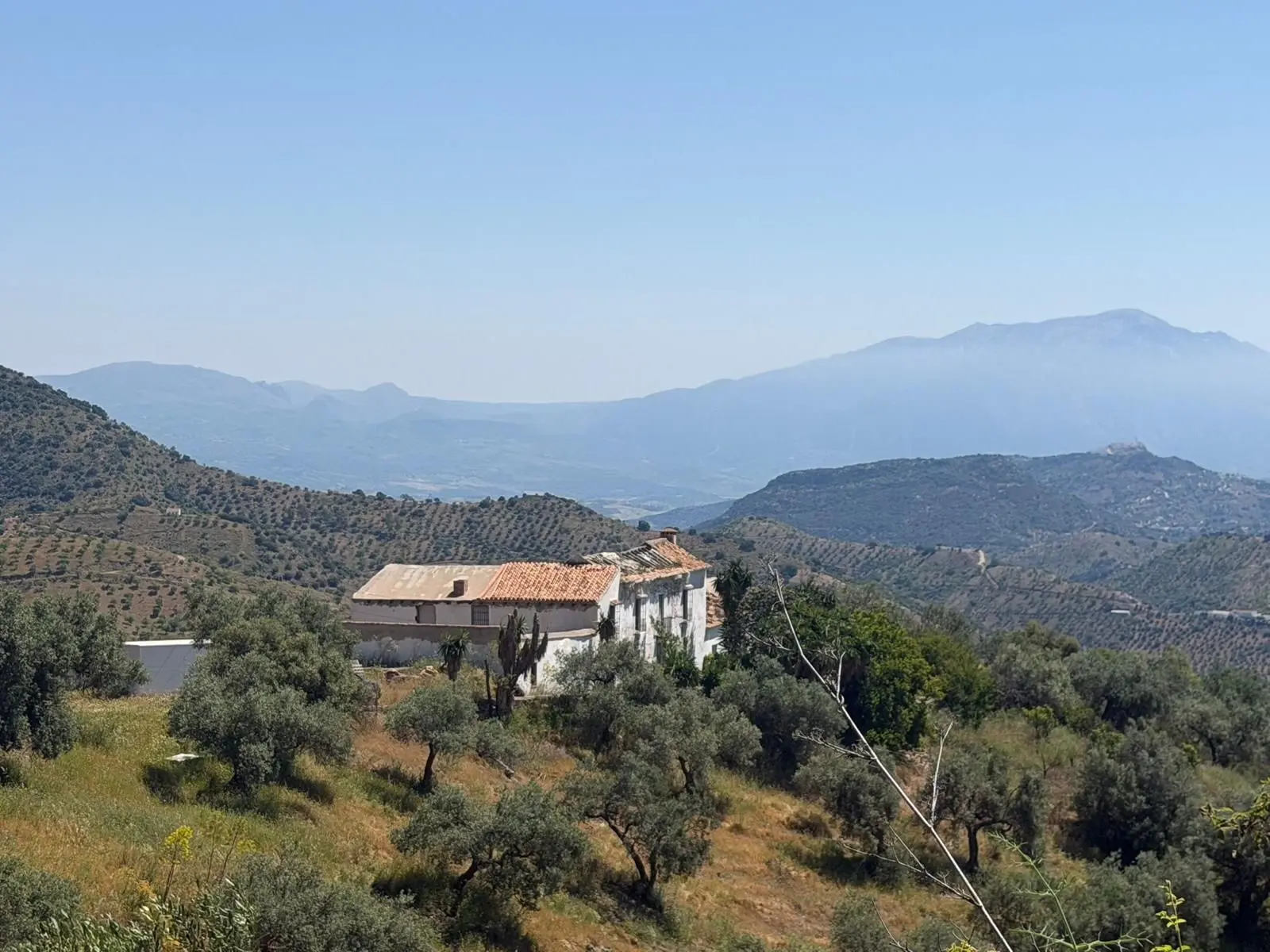 Finca à Málaga Este, Málaga