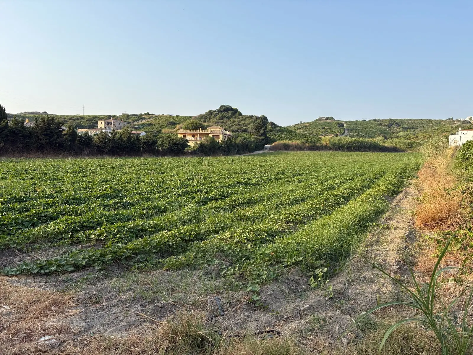 Terreno rural en Casares