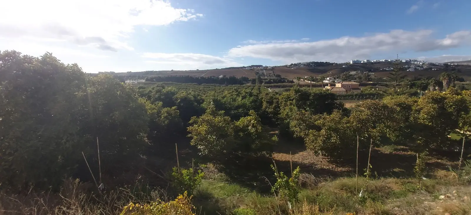 Terreno rural en Estepona