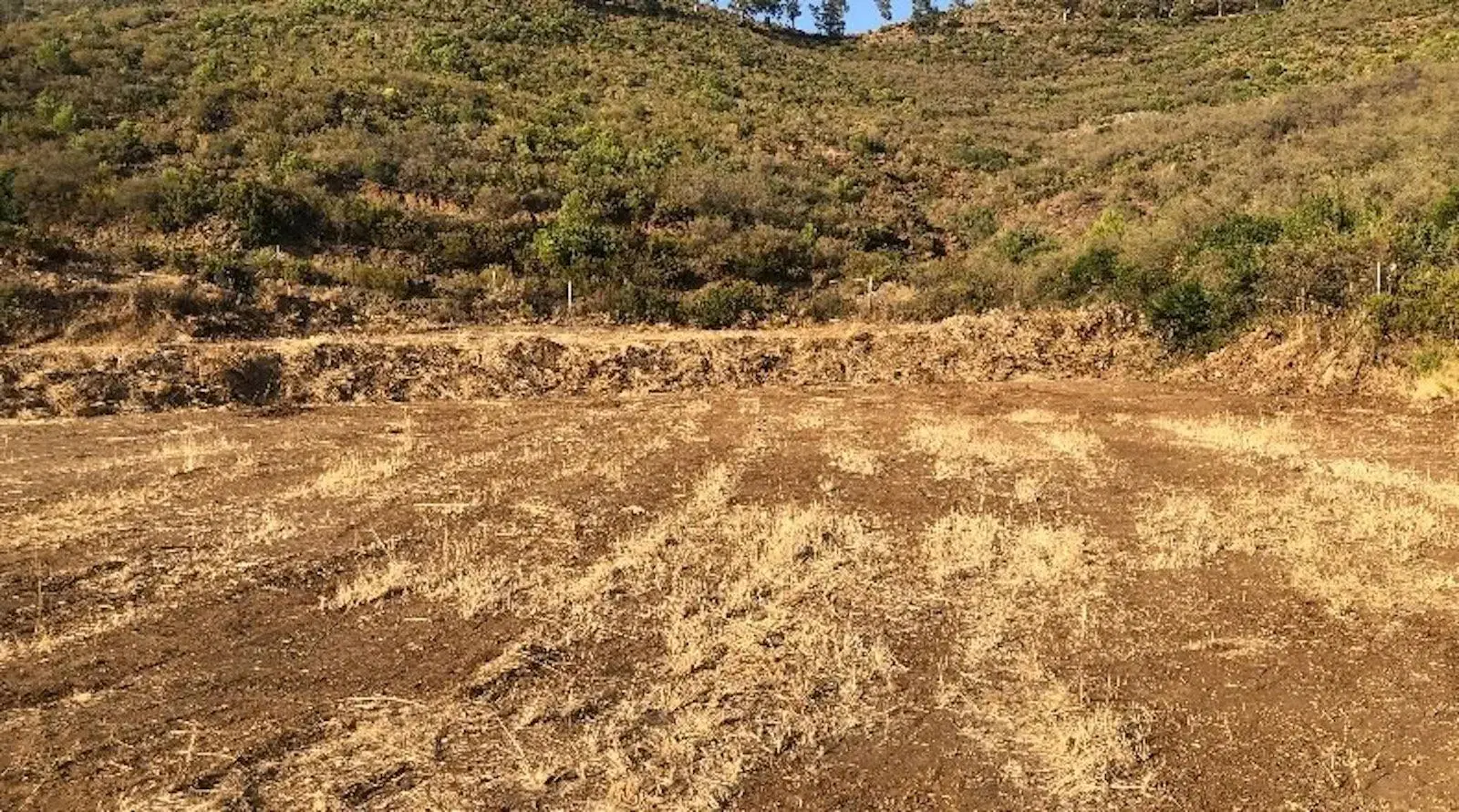 Terreno rural en Ojén